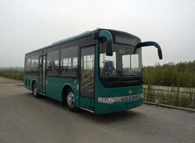 Heke HK6900HG4City buses