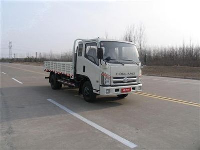 Foton  BJ1053VBPEAB2 Truck