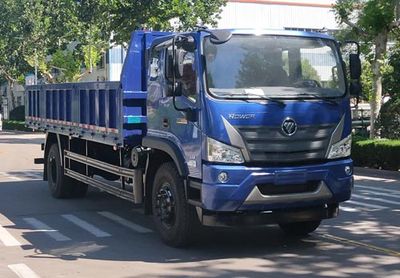 Foton  BJ3184DKPFK01 Dump truck