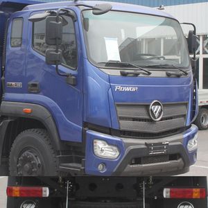 Foton  BJ3184DKPFK01 Dump truck