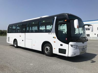 Huanghai  DD6119C81 coach