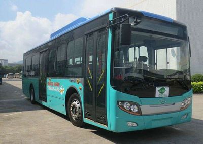 Wuzhoulong  FDG6105EVG10 Pure electric city buses