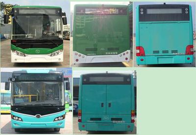 Wuzhoulong  FDG6105EVG10 Pure electric city buses