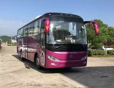 Shangrao  SR6107BEV2 Pure electric passenger cars