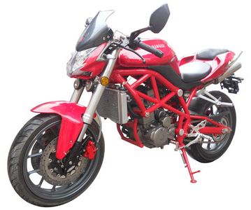 Wangjiang  WJ300 Two wheeled motorcycles