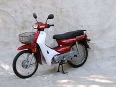 Dayang DY48Q3moped with two wheels 