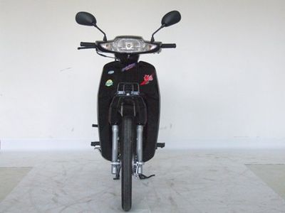 Dayang  DY48Q3 moped with two wheels 