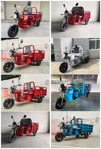 Fuzheng  FZ1000DZH Electric tricycle