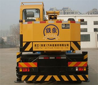 Tiexiang  TGZ5100JQZQY8G Car crane