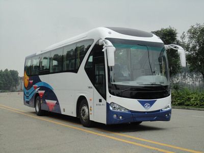 Feichi  FSQ6111DC coach