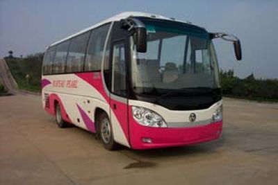 Wanda  WD6798HC coach