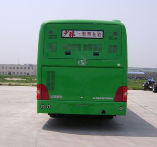 Shaolin  SLG6890T5GFR City buses