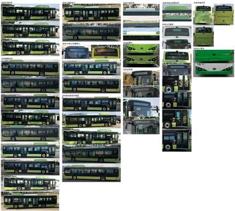 BYD  BYD6122LGEV7 Pure electric low entry city buses