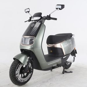 Tailing  TL2000DT32E Electric two wheeled motorcycle