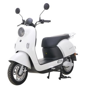 Emma  AM1000DT21G Electric two wheeled motorcycle