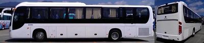 Jinlong  XMQ6120BCD4D coach