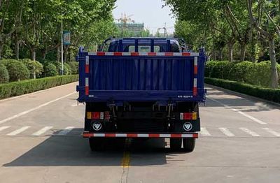 Foton  BJ3103DGJEAFA Dump truck