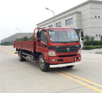 Foton  BJ1109VEPEGFB Truck