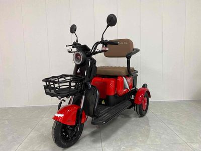 Phoenix  FH500DQZ3 Electric three wheeled light motorcycle