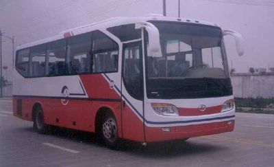 Shudu  CDK6853H3D coach