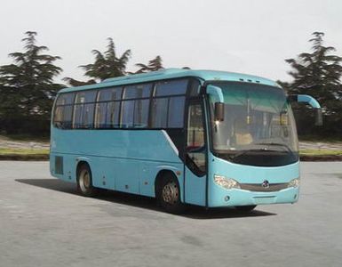 Yaxing  YBL6896HE31 coach