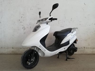 Lion Dragon  SL1000DQT2 Electric two wheeled light motorcycle