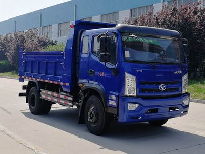 Shifeng  SSF3101DHP75 Dump truck