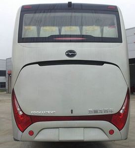 Wuzhoulong  FDG6112EV2 Pure electric passenger cars