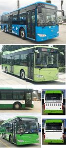 Jinlong  XMQ6106AGCHEVN512 Plug in hybrid urban buses