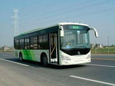 Yaxing  YBL6110G1H coach