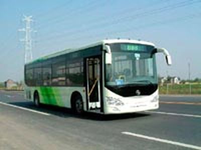 Yaxing  YBL6110G1H coach