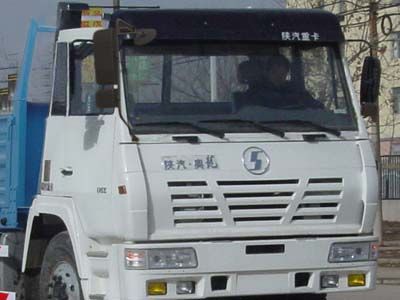 Shaanxi Automobile SX1256UR434 Truck