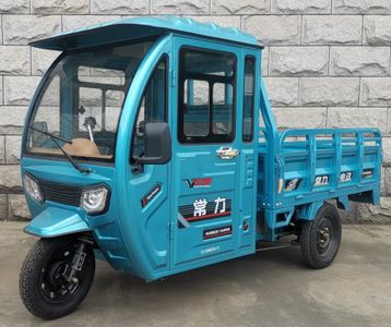 Changli  CL1500DZH3A Electric tricycle