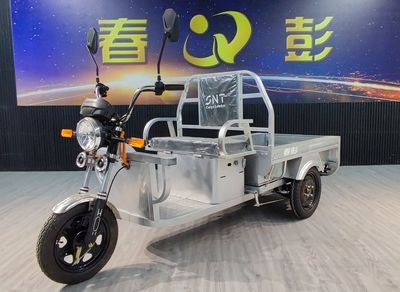 Chunpeng  CP1500DZH7 Electric tricycle