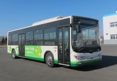 Huanghai  DD6109EV7 Pure electric city buses