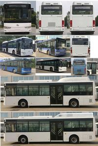 Jinlong  XMQ6106AGBEVM2 Pure electric city buses