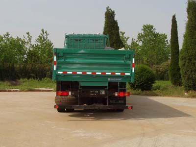 Hongyan  CQ1314TMG396 Truck