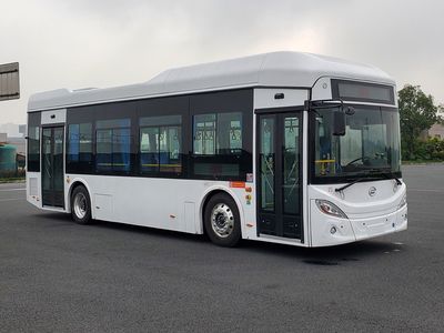 Feichi  FSQ6110BEVGA Pure electric low floor city buses