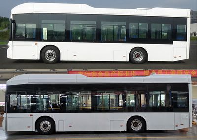 Feichi  FSQ6110BEVGA Pure electric low floor city buses