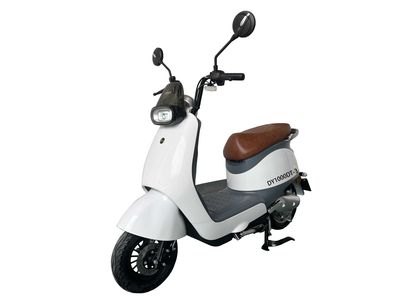 Dayang  DY1000DT3 Electric two wheeled motorcycle