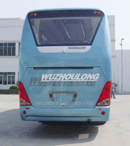 Wuzhoulong  FDG6126C31 coach