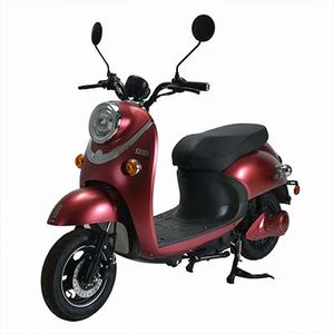 Zhongguan  ZG500DQT Electric two wheeled light motorcycle