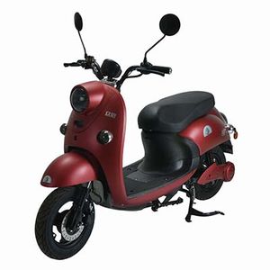 Zhongguan  ZG500DQT Electric two wheeled light motorcycle