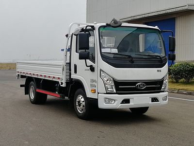 Nanjun  NJA1042PDF33A Truck