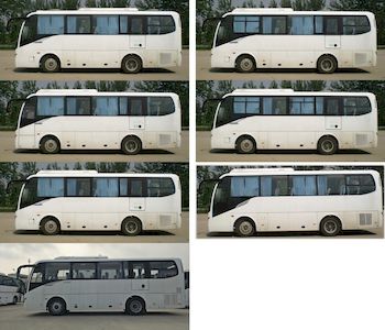 Jinlong  XMQ6879AYD5D coach