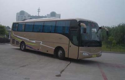 Medium to large YCK6107HG1coach