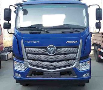 Foton  BJ1186VKPEKB1 Truck