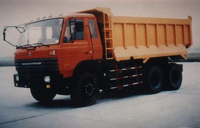 Da Zhuang  DLZ3240 Dump truck