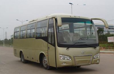 Tongxin  TX6860 coach