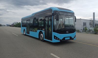 Emei  EM6100BEVG3 Pure electric city buses